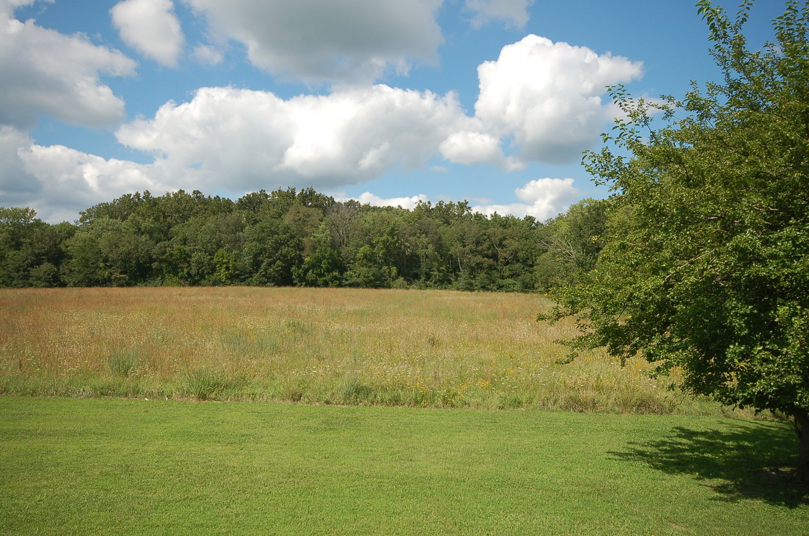 1750 Oakley Avenue  Streator IL 61364