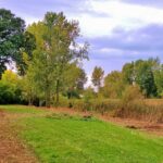 840 Arbor Avenue  West Chicago IL 60185