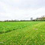 225 Westfield Way  Barrington Hills IL 60010