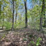 34871 LAKE SHORE Drive  Lake Villa IL 60046