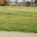 1147 Dixie Highway  Beecher IL 60401