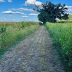 1299 1600 E Road Taylorville IL 62568