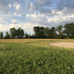 3008 Brickhouses Road  Urbana IL 61802