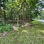 1105 Jay Court  Varna IL 61375