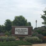 875 Feinberg Court C Cary IL 60013