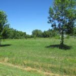 23787 Reindeer Trail  Lake Villa IL 60046