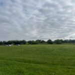 970 Regent Drive  Matteson IL 60443