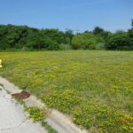 20015 Delphi Drive  Olympia Fields IL 60461