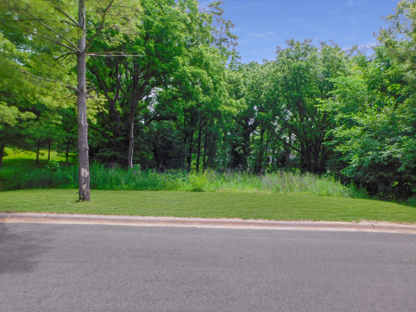 13071 Promontory Trail  Roscoe IL 61073