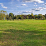 16149 Scenic Court  Wadsworth IL 60083