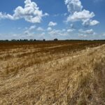 2000 County Road  Varna IL 61375