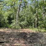 41.94 Acres Route 14   Harvard IL 60033
