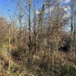 1475 State Route 127 S Highway Jonesboro IL 62952