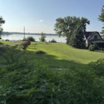 600 1st   Dallas City IL 62330