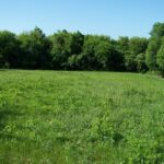 6109 Whiting Drive  McHenry IL 60050