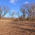 840 Arbor Avenue  West Chicago IL 60185