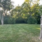 946 Garfield Street  Hinsdale IL 60521