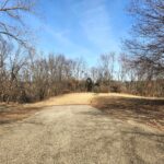 Lot 1542 Key Court North   Varna IL 61375