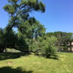 1318 Kajer Lane  Lake Forest IL 60045