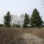 17206 OBrien Road Harvard IL 60033