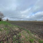 Lot 8 Kyle Street  Ogden IL 61859