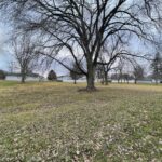 59 Main Street  Saunemin IL 61769