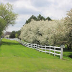 36537 Fox Hill Drive  Wadsworth IL 60083