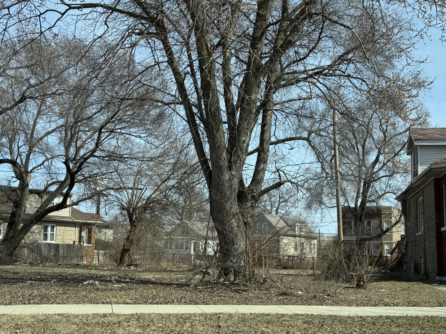 9969 Winston Avenue  Chicago IL 60643