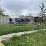 1102-1108 Albany Avenue  Chicago IL 60612
