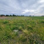 16 Pointe Boulevard  Peru IL 61354